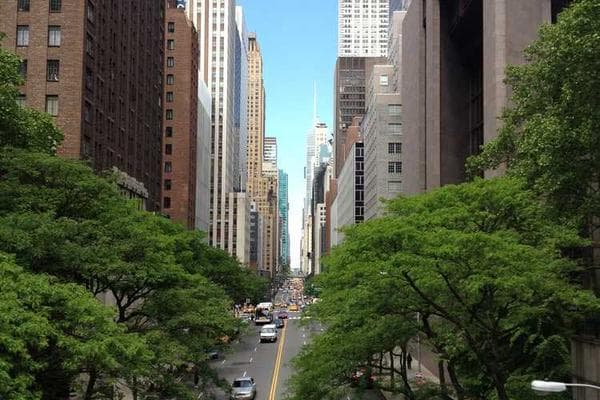 A beautiful manicure result.